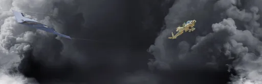 banner