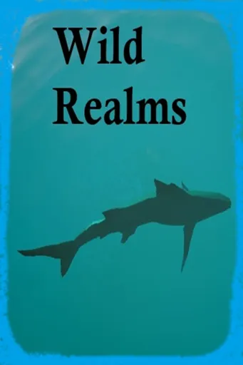Boxart for game Wild Realms