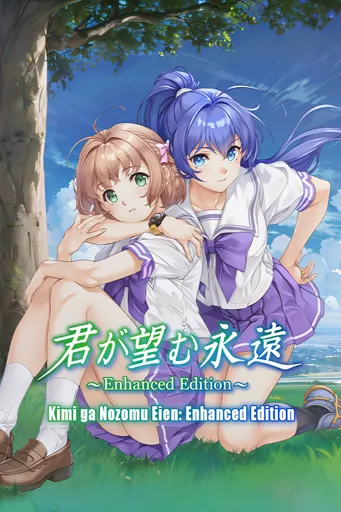 Boxart for game Kimi Ga Nozomu Eien: Enhanced Edition