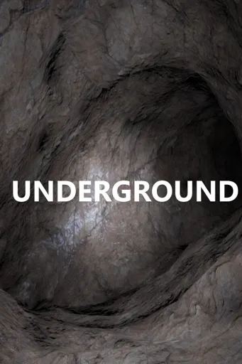 Boxart for game Underground