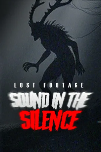 Boxart for game Lost Footage : Sound In The Silence