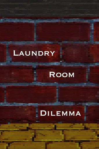 Boxart for game Laundry Room Dilemma