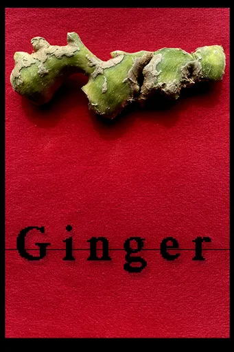 Boxart for game Ginger