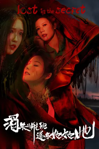 Boxart for game 消失的航班，还有她她她！lost In The Secret!